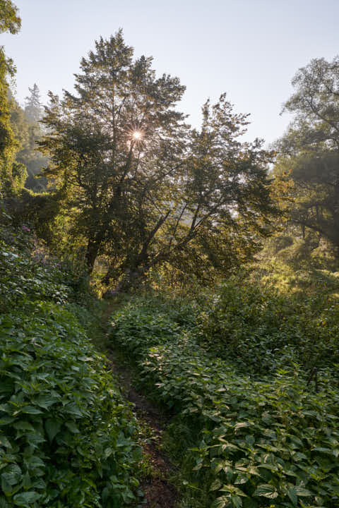 Gemeinde Winhöring Landkreis Altötting Steinhöring Isen Landschaft Pilgerweg (Dirschl Johann) Deutschland AÖ